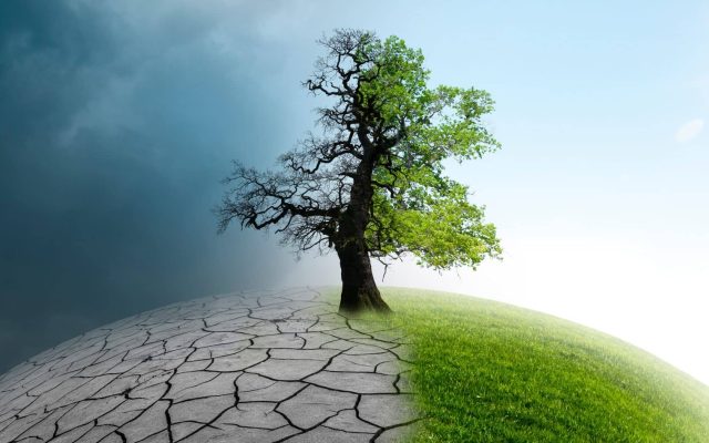 Rencontre du Cercle des Femmes de l'Environnement 2